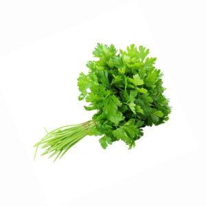 Coriandrum sativum/ கொத்தமல்லி - (1 கட்டு-200 grms)