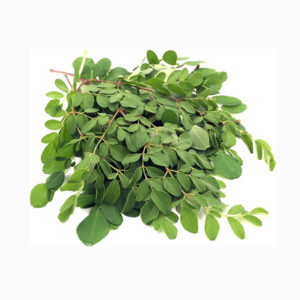 Drumstick spinach/ முருங்கை கீரை