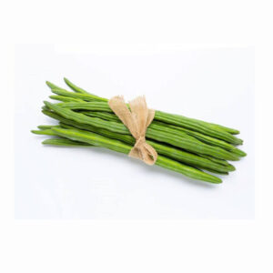 Drumstick/ முருங்கை